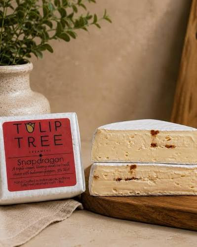 Snapdragon Triple Cream with Habanero,  8 oz square | Tulip Tree Creamery