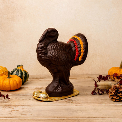 Thanksgiving Chocolate Turkey, 8” – Mostly Solid – Milk or Dark