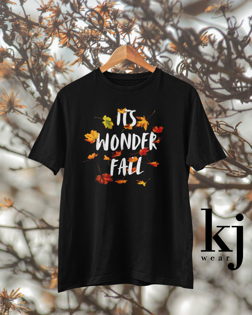 ITS WONDER FALL