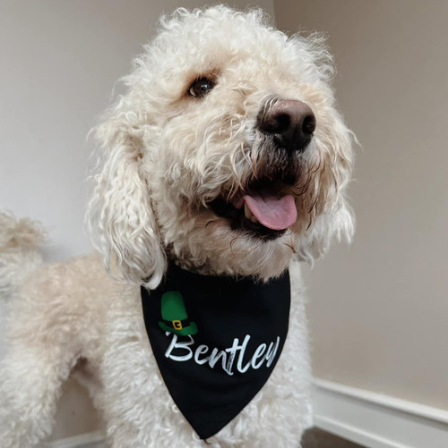 Personalized St. Patrick's Day Dog Bandana with hat