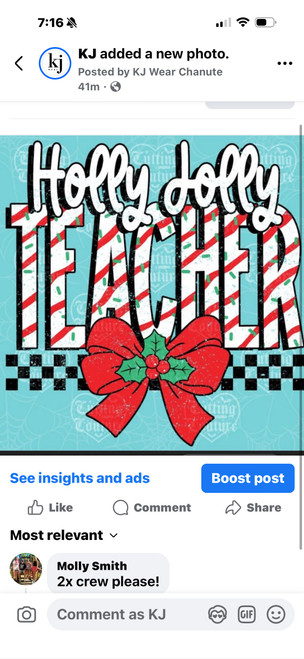 Molly xl tshirt 2xl crew