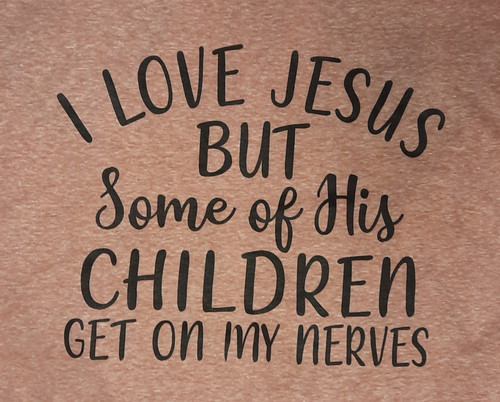 I LOVE JESUS BUT SOME OF HIS CHILDREN GET ON MY NERVES