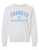Comets C Cheerleading