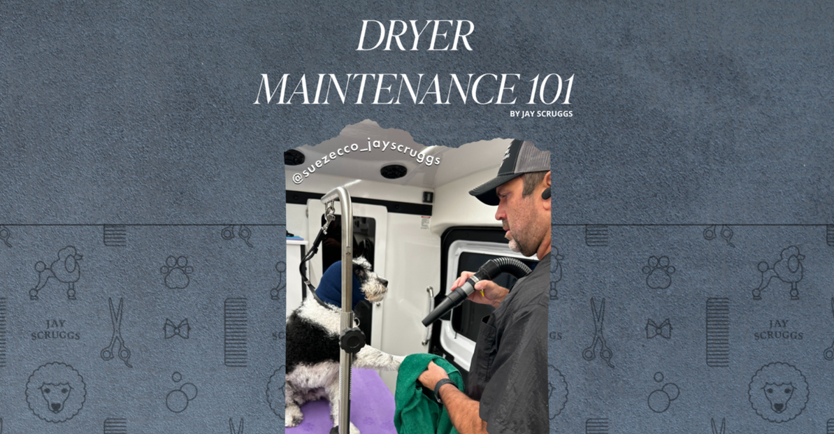 Dryer Maintenance 101