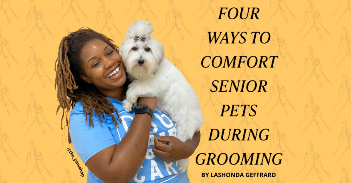 ​Four Ways to Comfort Senior Pets During Grooming