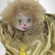 Vintage 7" Gold Clown with Porcelain Face