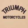 BURNHAM PRINTED LOGO TEE IN STONE