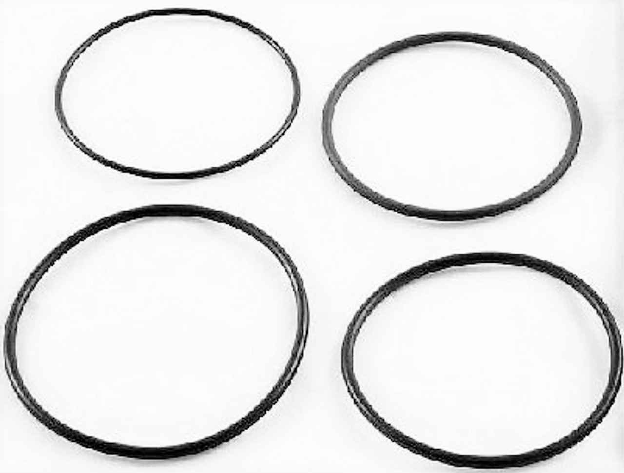 Johnson Controls A-4000-620 O-Ring Kit For Drain Trap MRO [New]