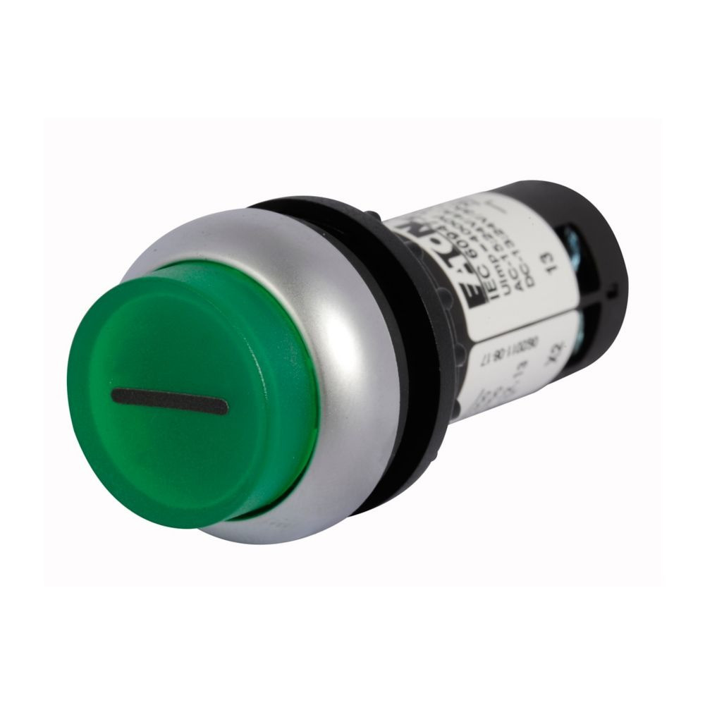 Eaton C22-DLH-G-X1-K10-24 22.5 mm Compact Pushbutton, Illuminated, Button, LED [New]