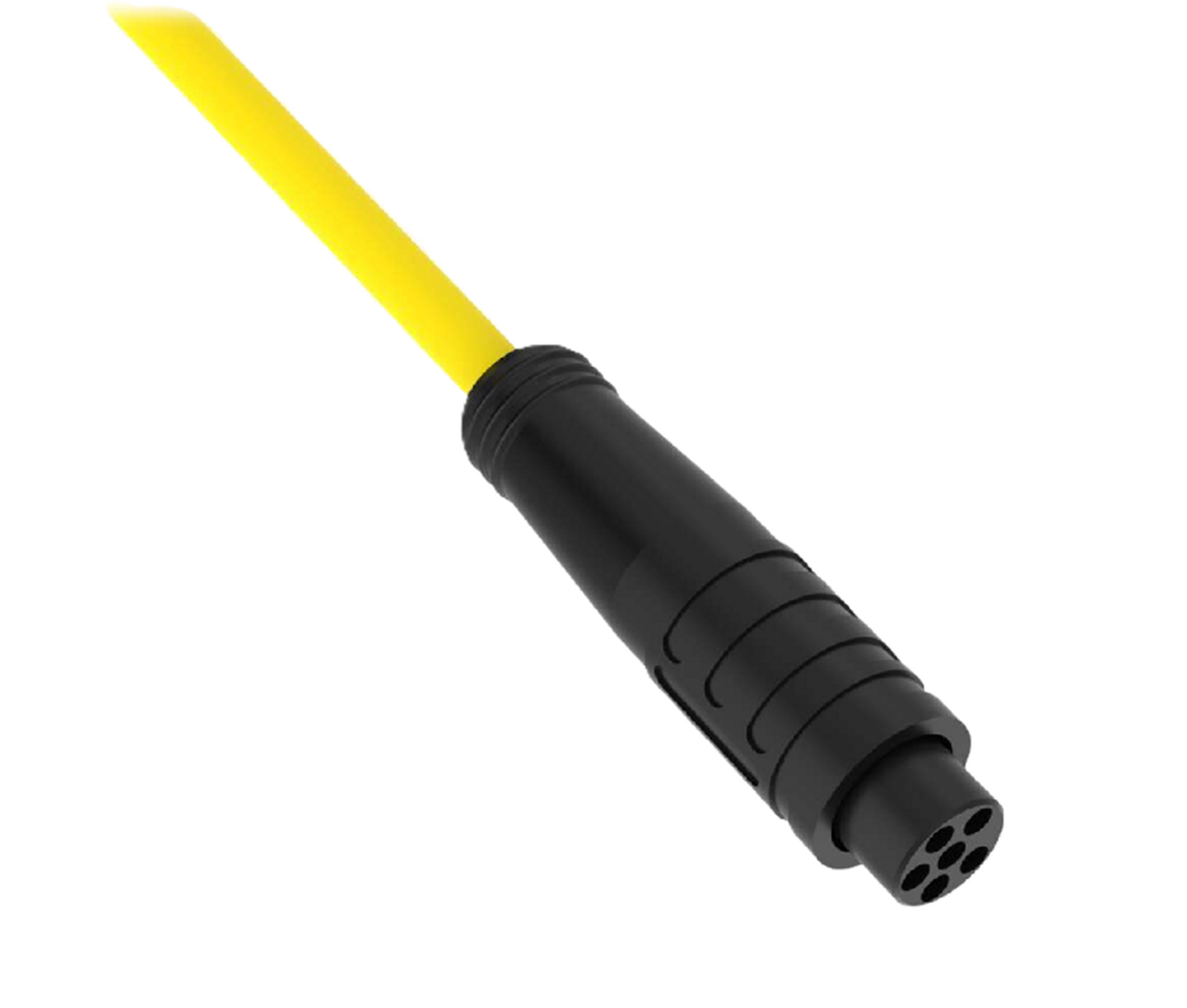 Banner PKG6Z-2 62985 Cordset, Single-Ended M8 Snap [New]