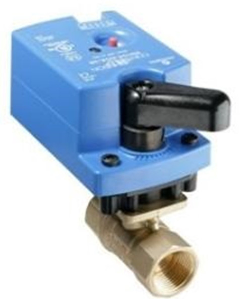 Johnson Controls VG1245CP+906IGA