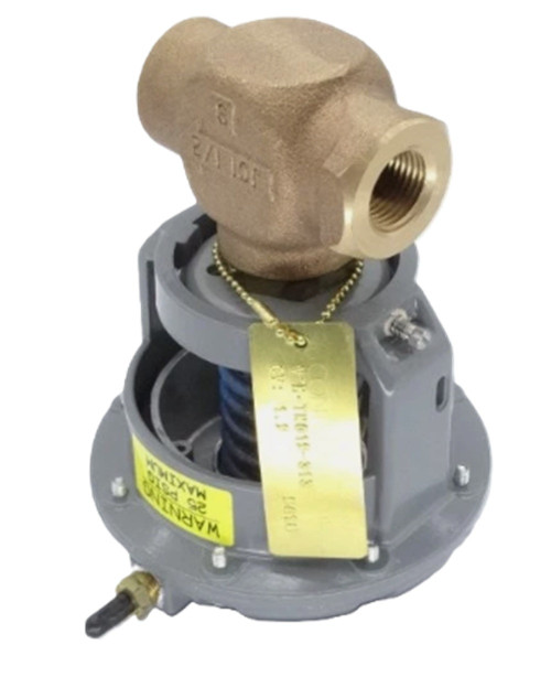 Johnson Controls VTM-TN019-313