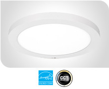 Fleming Flush Mounts