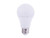 E13A19DLED50/G2T