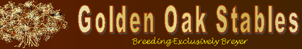 Golden Oak Stables