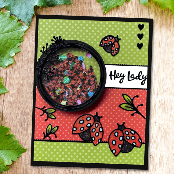 Ladybug Shaker Card Kit