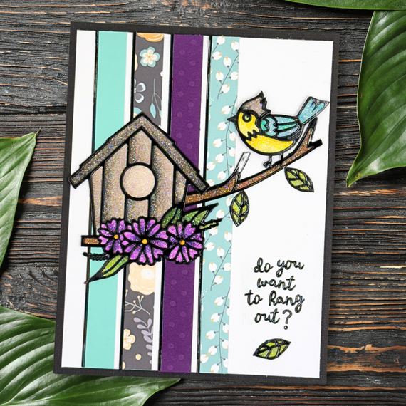 Bird Hangout Card Kit