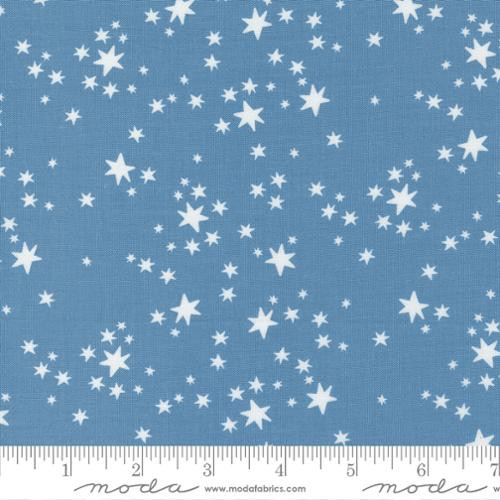 Delivered with Love - Starry Dreams Blue - Paper + Cloth