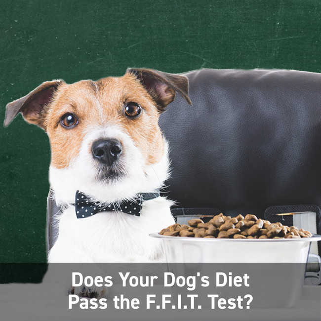 Does Your Dog's Diet Pass the F.F.I.T. Test?