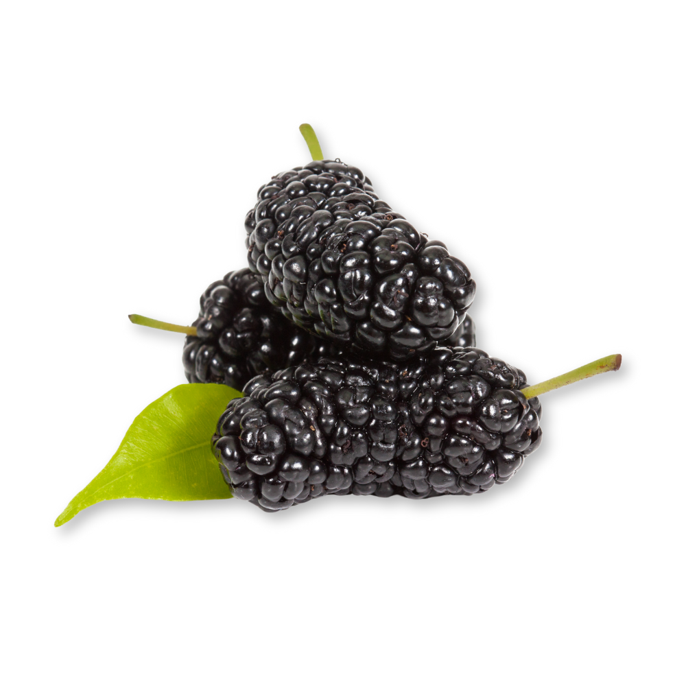 Organic Mulberries