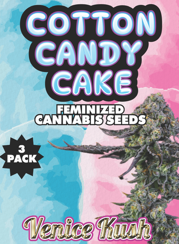 Colorful packaging for Venice Kush Cotton Candy Cake feminized cannabis seeds, featuring bold, playful lettering with a blend of blue and pink background colors. The image shows a vibrant cannabis bud, representing the product's quality. The text highlights this as a 3-pack of feminized seeds.
