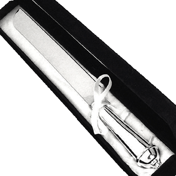 Silver copenhangen single wedding cake knife with velvet gift box