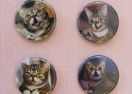 Bubtons: Buttons for Lil Bub