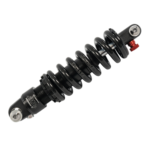 Cougar Rear Suspension
