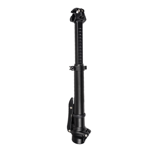 Rebel.2  Stem