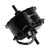 Cougar Motor