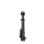 Rebel.2  Stem