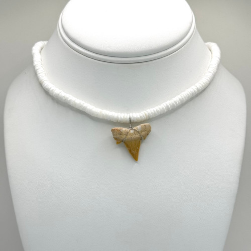 Shark Tooth on Round White Shell Necklace