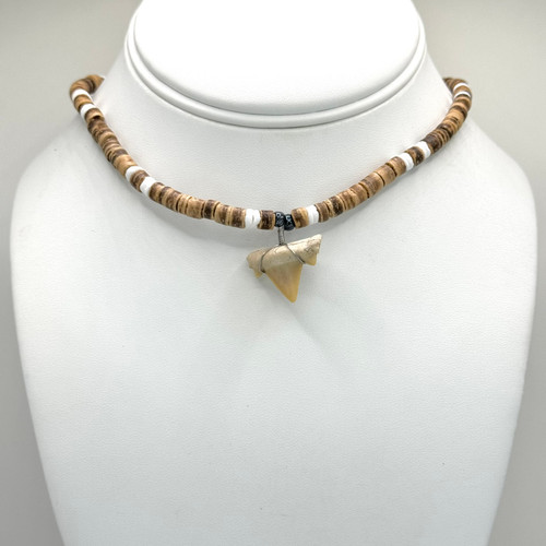 Shark Tooth on Neutral Tan Puka Necklace