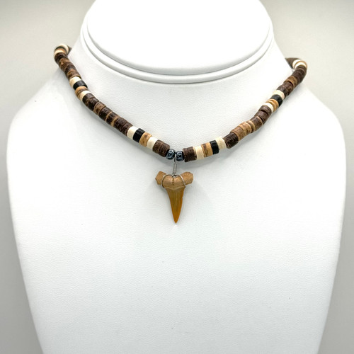 Shark Tooth on Dark Brow & Tab Puka Necklace