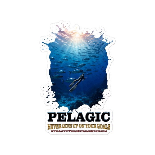 SAFETY THIRD WATER: PELAGIC — 6×8 Vinyl Decal