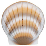 Shell Biodegradable Urn - Pearl