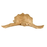 Paper Turtle Biodegradable Urn - Keepsake Front View