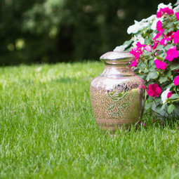 Callia Pink Rose Urn