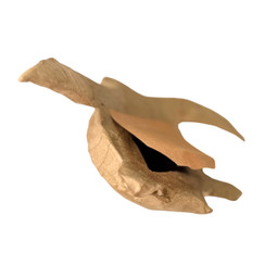 Bottom Opening of Paper Turtle Biodegradable Urn - Keepsake