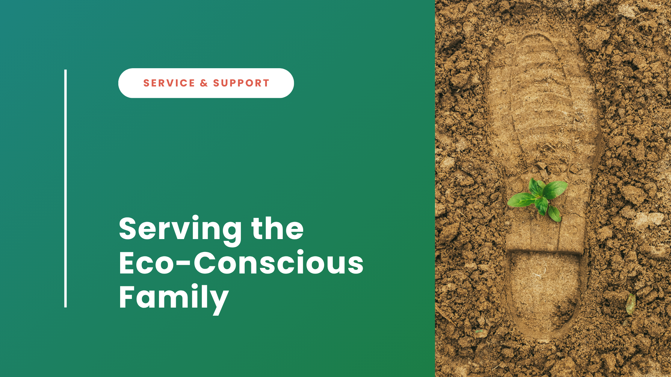 Serving the Eco-Conscious Family