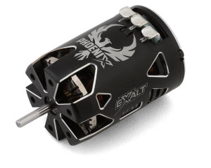 Team Exalt Phoenix Gold Spec Brushless Carpet Motor (17.5T)