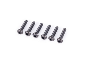 Screws, 4x24mm button-head machine (hex drive) (6)