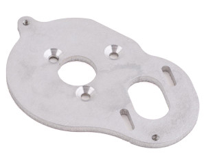 175RC Associated DR10 Aluminum Motor Plate (Silver) 175RC Associated DR10 Aluminum Motor Plate (Silver)