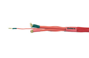Assault RC 24" 2s Power Leads with 4/5mm Stepped Bullets