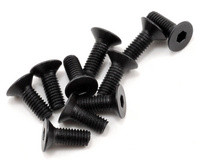 SWORKz FH/ST Screw M3x8mm (10)