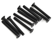 SWORKz FH/ST HEX Screw M3x25mm (4)