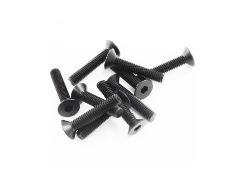 SWORKz FH/ST Screw M3x16mm (10)