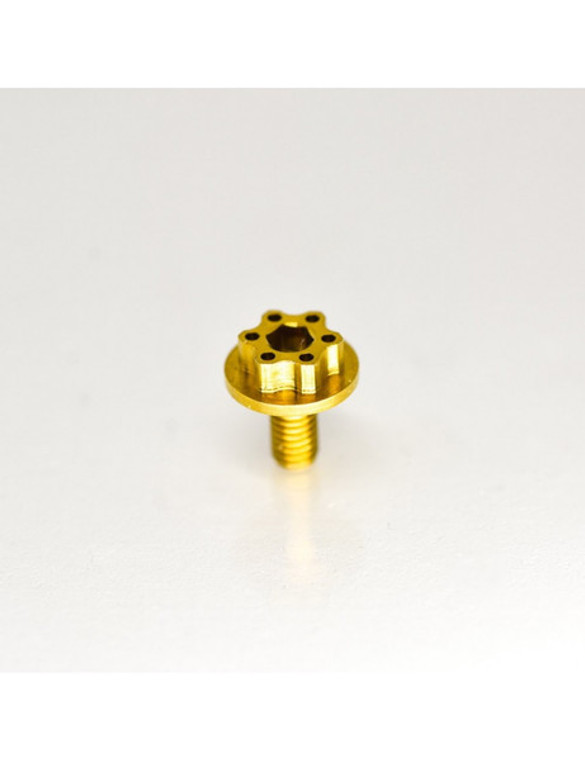 RC-Project Clutch Retainer Allen Screw in Titanium Grade 5 6Al4V "Limited Edition" 1 Piece