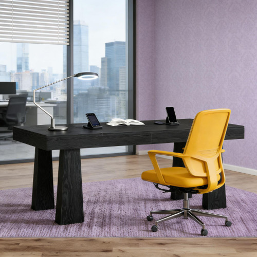 Thickened Leg Computer Desk (Black)