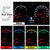 10 PCS 0.4W B8.5 Wedge Instrument Panel COB LED Light Dashboard Gauge Cluster Indicator Lamp Bulb